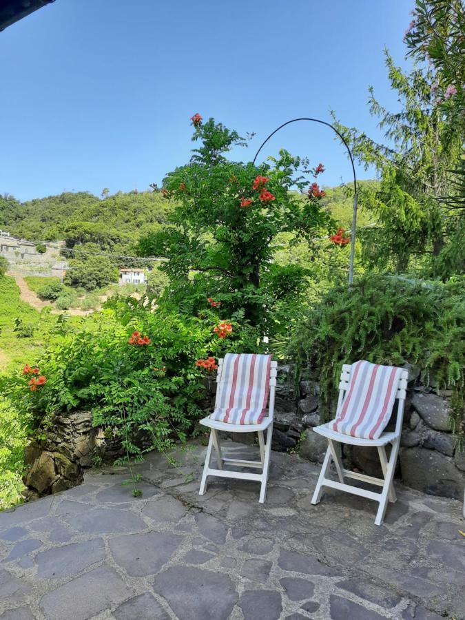 Ca Gialla De Drignana Vernazza Eksteriør bilde
