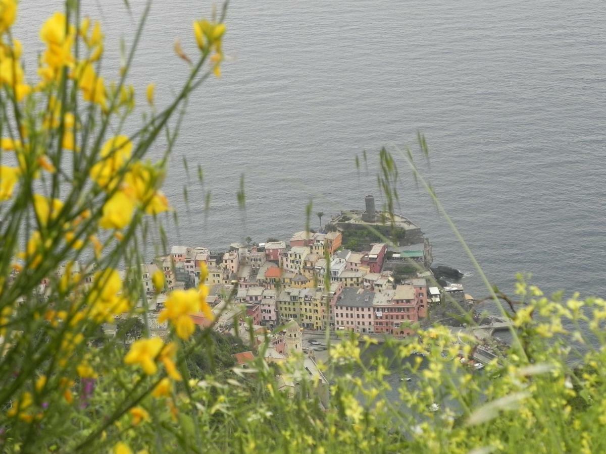 Ca Gialla De Drignana Vernazza Eksteriør bilde