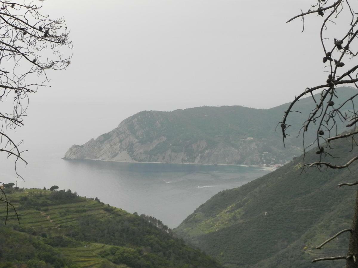 Ca Gialla De Drignana Vernazza Eksteriør bilde