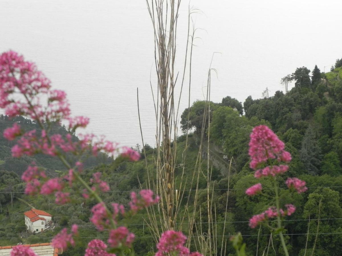 Ca Gialla De Drignana Vernazza Eksteriør bilde